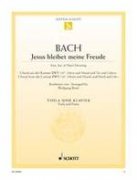 Jesu, Joy of Man's Desiring - Johann Sebastian Bach