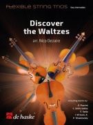 Discover the Waltzes smyčcové trio